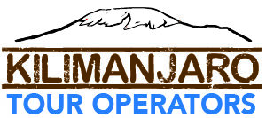 Best Kilimanjaro Tour Operators